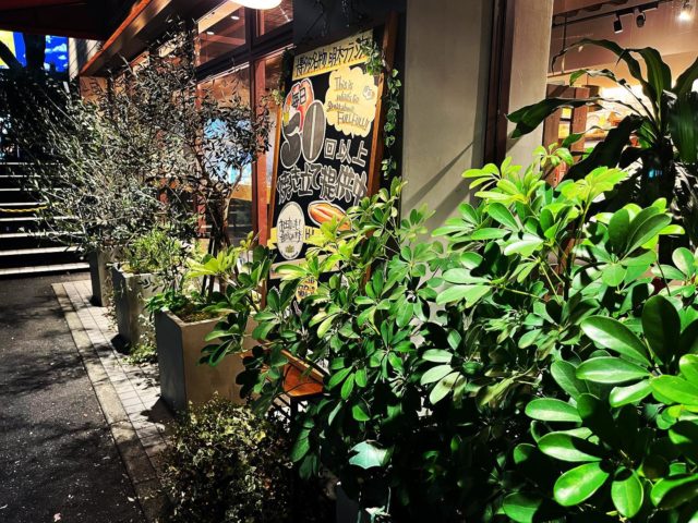 こんばんは𓅫𓅫𓅫
⁡
　　　　　　　　
⁡
お店の前のグリーン🌲🌳🌴🍃たちも
一年前オープンしたときに比べてすこーし
成長したかな？
スタッフたちも
成長してるはず
だってみんなひたむきな頑張りやさんばかり
⁡
⁡
⁡
⁡
金曜日から始まった周年祭。
初日からたくさんのお客様に来て頂いています
本当にありがとうございます🥲✨
明日まで開催していますので未だの方は是非いらしてくださいね🫶🏻

そして💡
明日は福岡マラソンですね🏃🏃🏃
雨予報でしたが、朝には止みそうなのでよかったですね😌
参加される方々は怪我など無く無事に完走できるよう頑張って下さい！
パン作りをしながらさりげなく応援させていただきます٩( 'ω' )و

お店は明日も10時〜19時まで営業しておりますので、お近くにお越しの際はご来店お待ちしております！