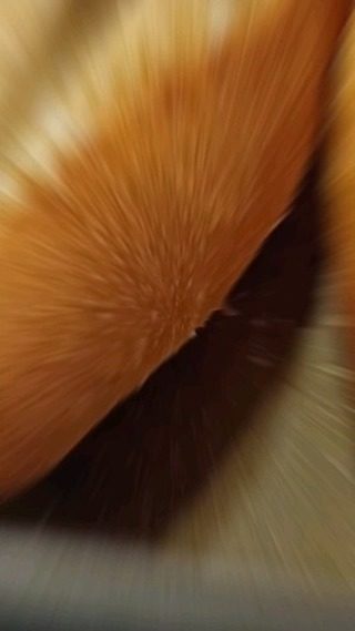 フルフルのこだわり。

特製明太バターは

端から端まで。

美味しさは

ひとくちめから

最後まで。

◇◇◇◇◇◇◇◇◇◇◇◇◇◇◇◇
the FULLFULL HAKATA 

〒812-0038
福岡市博多区祇園町11-14

TEL 092-292-7838 
◇◇◇◇◇◇◇◇◇◇◇◇◇◇◇◇